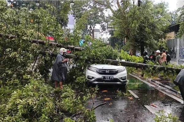 BPBD Catat 34 Kejadian Pohon Tumbang di Bandung Dalam Satu Waktu
