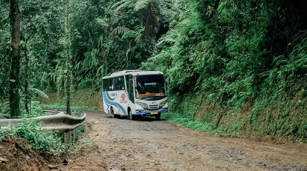 DAMRI Tak Kebagian PMN, PUKIS Kritik Lemahnya Komitmen Negara