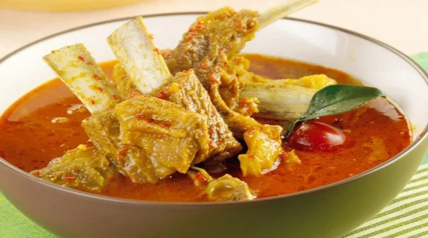 Cara Mudah Masak Gulai Daging Pakai Magic Com