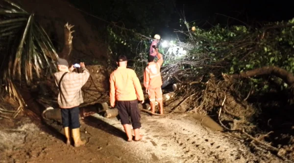 Longsor di Sukabumi: Ruas Jalan Jampangtengah-Lengkong Terdampak