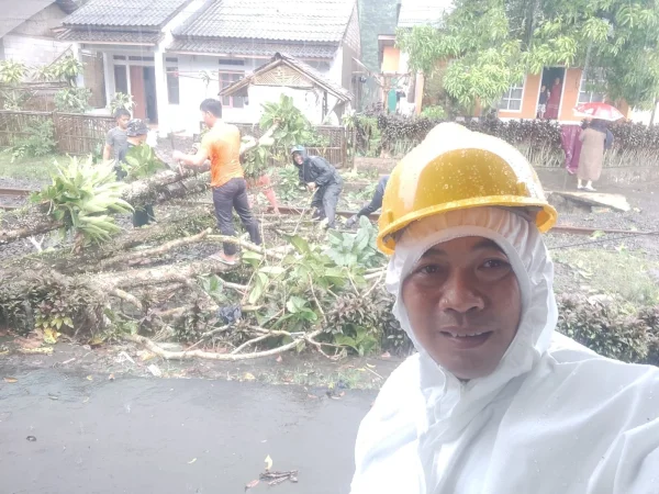 Pohon Tumbang di Jalur Kereta Gandasoli-Sukabumi, Perjalanan KA Sempat Terganggu
