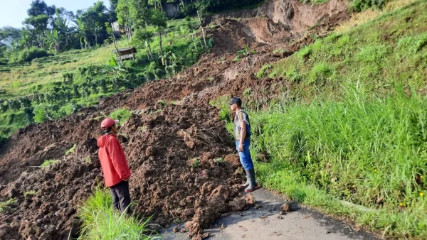 Longsor Terjang Cianaga Sukabumi, Sawah dan Jalan Tertimbun