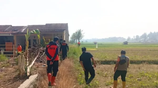 BPBD Kota Sukabumi Imbau Warga Waspadai Kebakaran Lahan saat Kemarau