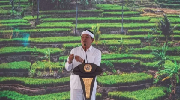 Dedi Mulyadi Evaluasi Angkot Tua dan Siapkan Reaktivasi Bandara Husein