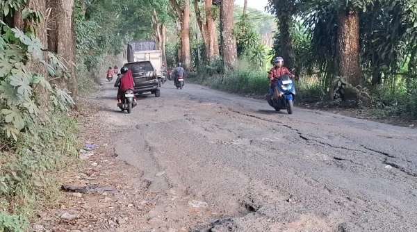 Butuh Rp 350 Miliar untuk 1 Persen Kemantapan Jalan Kabupaten di Sukabumi