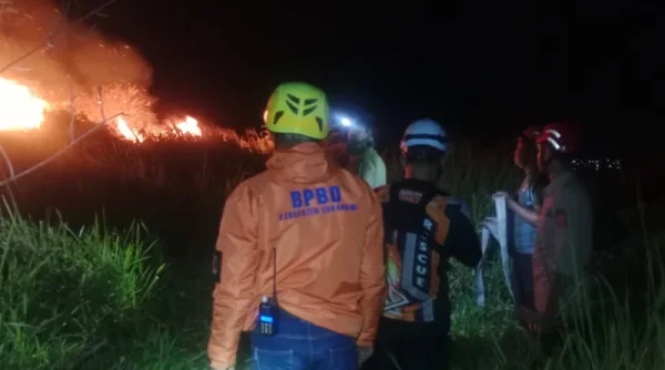 2 Hektare Lahan di Ciambar Sukabumi Terbakar