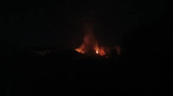 Kebakaran Perbukitan di Simpenan Sukabumi, BPBD Duga Dipicu Pembukaan Lahan