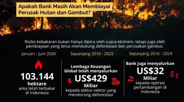 Jelang El Nino 2027, Masyarakat Sipil Desak Bank Hentikan Pembiayaan Perusak Hutan