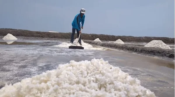 Garam Himalaya vs Laut, Mana Lebih Sehat?