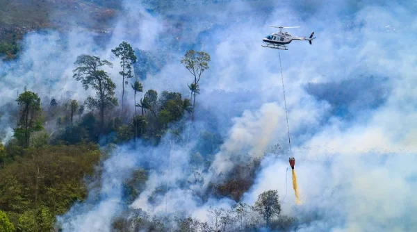 1,05 Juta Liter Air Diguyurkan dari Udara untuk Padamkan Karhutla Kalbar