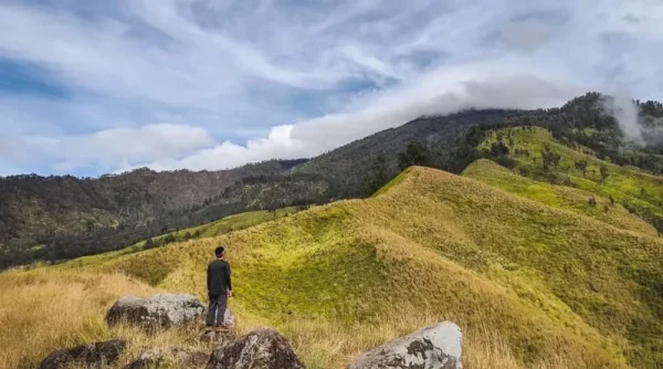 Pendakian Gunung Lincing Malang Ditutup akibat Kebakaran Hutan