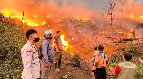 21 Kejadian Karhutla di Sukabumi, 30 Hektare Lahan Terdampak