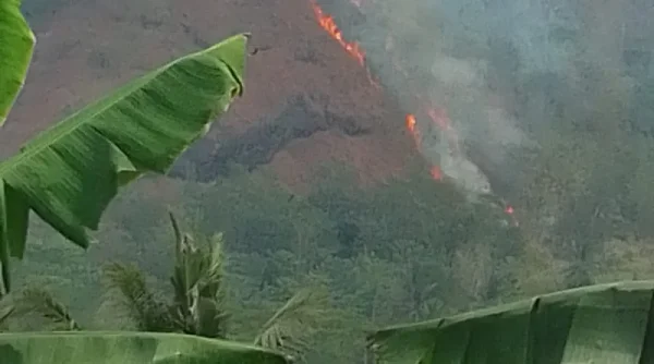 Kebakaran Lahan Terjadi di Gunung Cabe Sukabumi