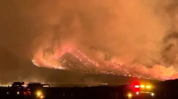 Wagub Jatim Ungkap Dugaan Awal Kebakaran Gunung Bromo
