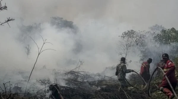 Kasus ISPA di Pontianak Naik 10 Persen Imbas Kabut Asap Karhutla
