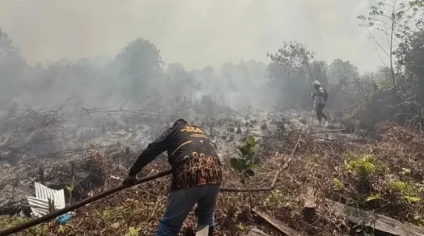 Kabut Asap Karhutla Kalimantan, 108 Sekolah di Malaysia Ditutup